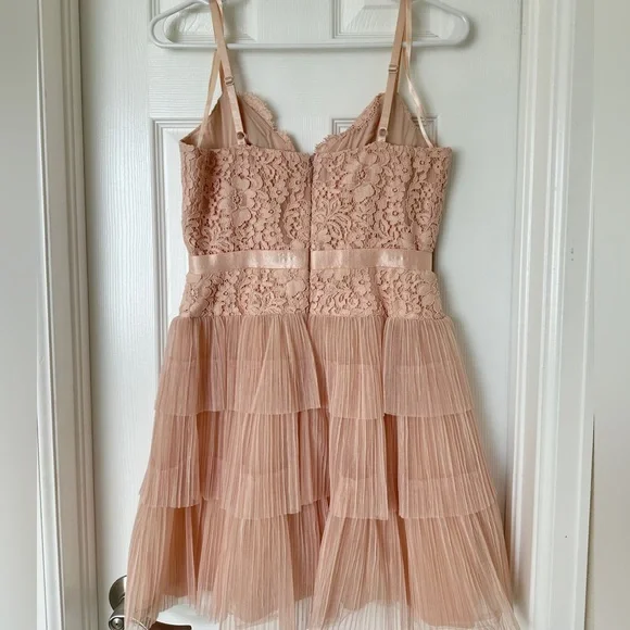 BCBG Champagne Pink Lace Tulle Cocktail Dress Sz 4 - Picture 5 of 7